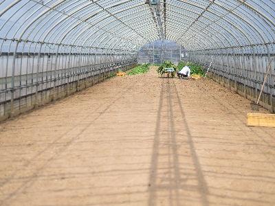 農のある環境でのお仕事！正社員募集！葉物野菜の生産販売や教育ファームを運営する法人でのお仕事！