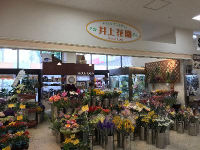 1日5h～、週3日～勤務OK！扶養内勤務相談可！Wワーク可！無資格・未経験OK！年齢不問！お花の...