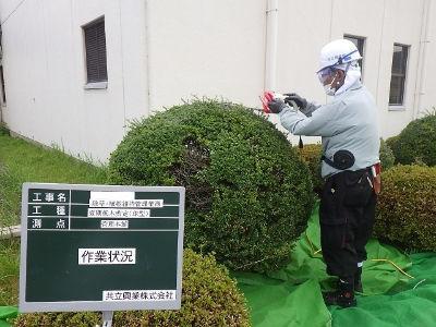 経験不問＊チームでの作業で安心＊自動車通勤OK＊大手企業の敷地内の緑地管理を行う造園スタッフ募集...