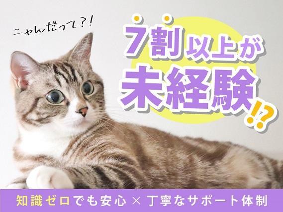 ≪未経験から正社員へ≫病院の補助STAFF＊検査の付添い、車いす誘導など。お仕事は『補助だけ』