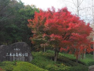 緑豊かなあ三木山森林公園内でのお仕事♪未経験OK♪★入社日は相談に応じます。
