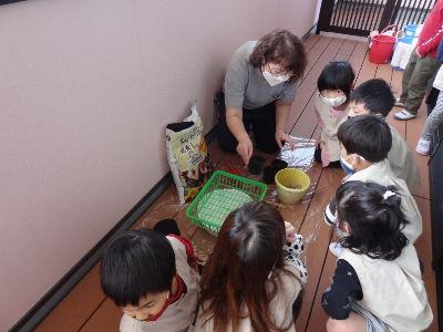 午前・午後のみ勤務OK！短時間勤務OK！残業ほぼなし！経験者大歓迎！認可保育所で保育のお仕事＊