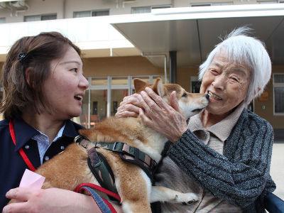 高齢者総合福祉施設の看護師さん募集！実務未経験可。ミニボーナスあり、日勤のみOK！1日6時間、週...