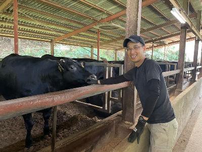 【やる気のある方大歓迎】肥育牛の飼育・牛のエサやり・牛糞の処理・牛舎内の清掃等