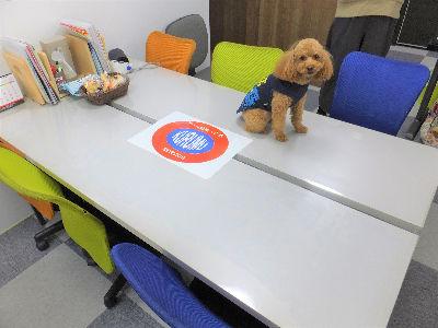 2t・4tドライバー募集！地場・中距離配送！手積み・手降ろしほとんどナシ！30～40...
